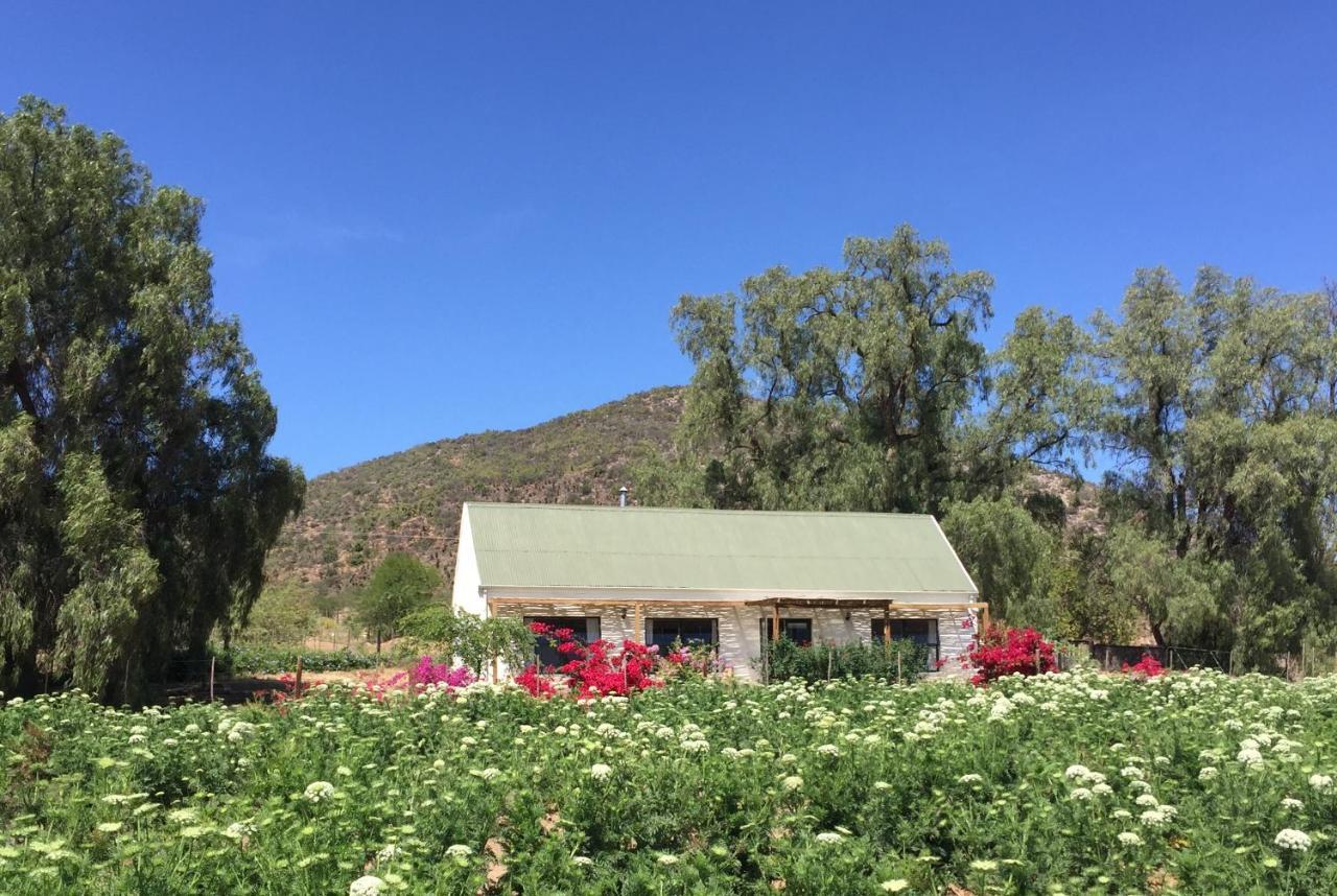 Pepper Tree Cottage De Rust Esterno foto