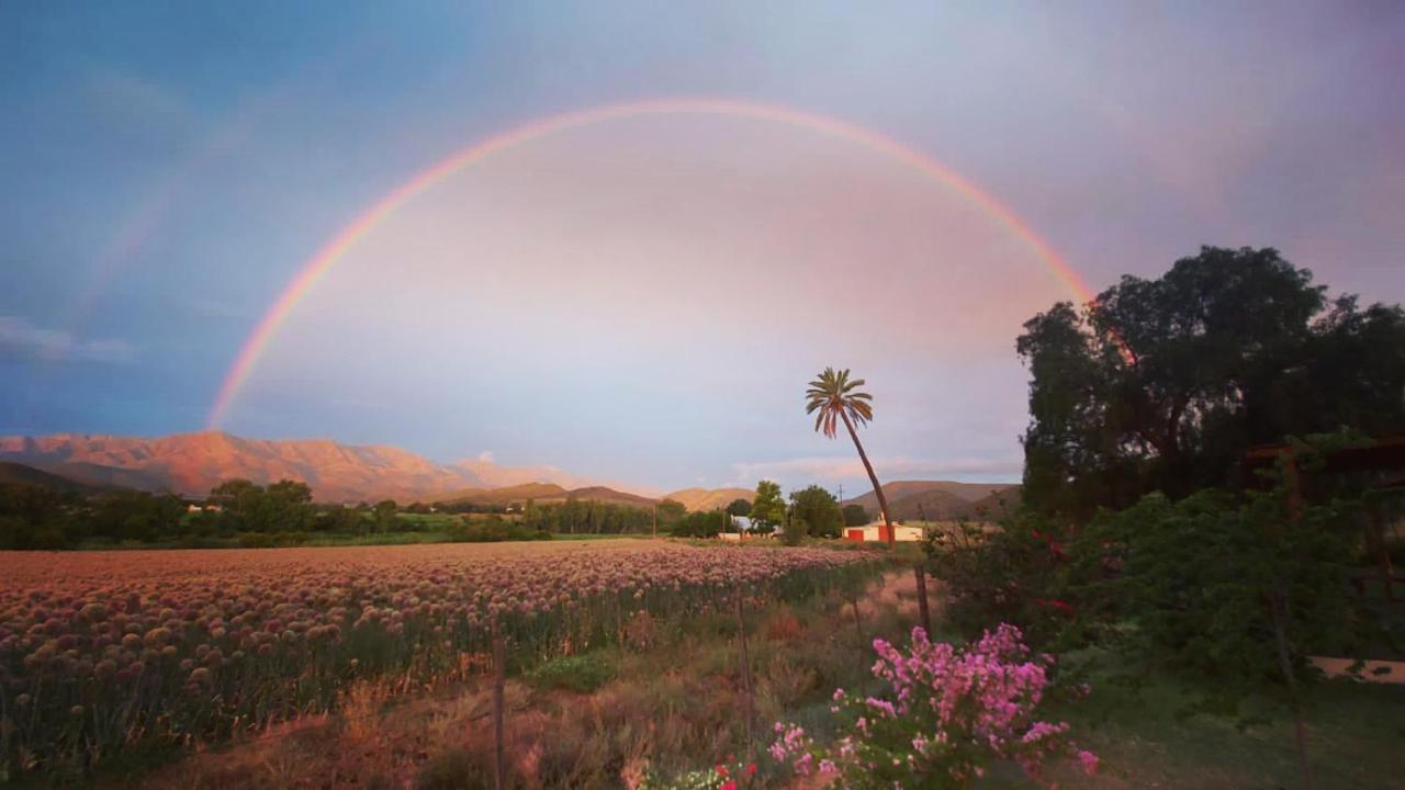 Pepper Tree Cottage De Rust Esterno foto